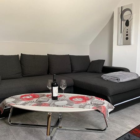 Ferienwohnung Sunny - Moderne Ferienwohnung Im Gruenen In Saarbruecken-West エクステリア 写真